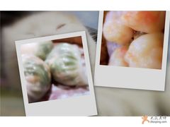 两款虾肉饺子-粤珍轩.创始店.始于2001(含光门店)