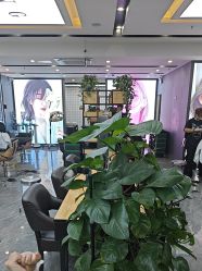 -藤野造型烫染·漂发