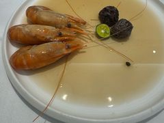 -圆苑(静安寺店)