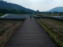 -风云岭森林公园