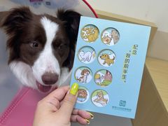 -美联众合动物医院·24h转诊中心