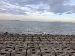-野狸岛