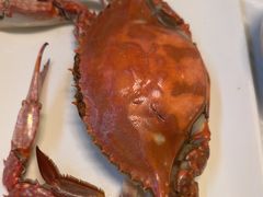 -宾朋海鲜特色美食餐厅·纯手工鲅鱼水饺(兴海路店)