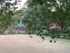 -申粤轩酒楼·三十年粤菜经典(丁香花园店)