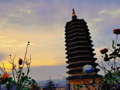 -八大处公园