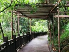 -石燕湖生态旅游景区
