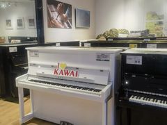 -柏斯音乐艺术中心·钢琴·吉他(世纪金源店)