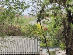 -开封城墙景区