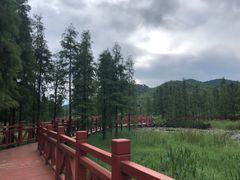 -广州市石门国家森林公园
