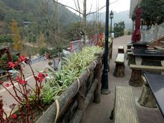 -楠柏弯休闲山庄(梨花溪店)