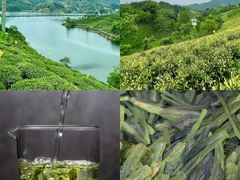 -燕子河大峡谷天坑仙境