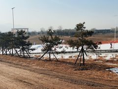 -华彬猛犸滑雪场