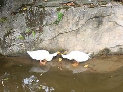 -龙头寺公园