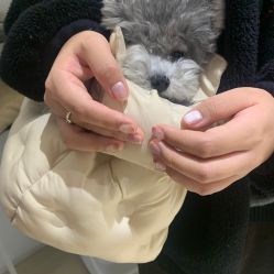 -BELLAREAL新美社