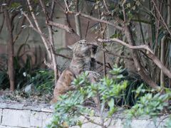 -苏州河梦清园环保主题公园