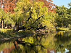 -上海共青森林公园