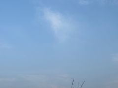 -洨河生态公园
