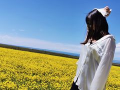 -青海湖国家重点风景名胜区