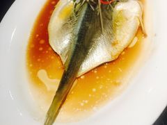 清蒸东海大黄鱼-鹊玥·粤菜小馆(汇智国际商业中心店)