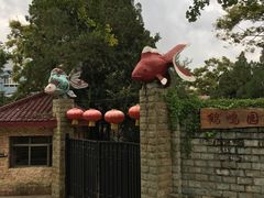 -昆明动物园