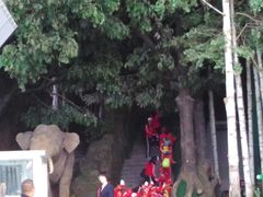 -吉林省自然博物馆
