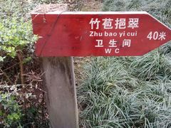 -神仙树公园