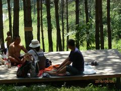 观景、休息台-北纬44度·金珠花海休闲农业旅游景区