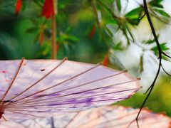 -人民公园(罗湖区)