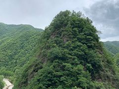 -牛背梁国家森林公园