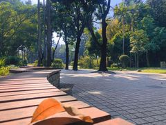 -人民公园(罗湖区)