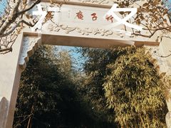 -竹子庵公园