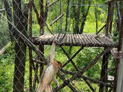 -哈尔滨北方森林动物园