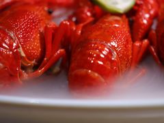 -沪小胖·小龙虾·蓝龙王(八佰伴店)