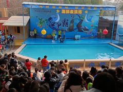 -荆州中山公园动物园