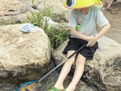 -绿堤公园