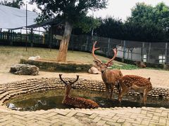 -武汉紫薇都市田园