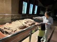 -世界恐龙谷景区