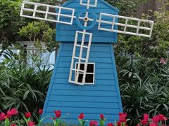 -南宫五洲植物乐园