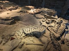 -自贡恐龙博物馆