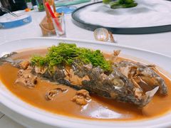 -南山酒肆(南山董事绘店)