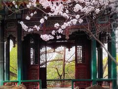 -颐和园