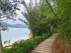 -广州市流溪河国家森林公园