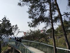 -铁山坪森林公园