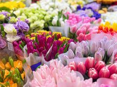 -双季花艺园艺市场(浦东店)