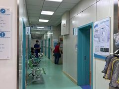 -北京观赏动物医院·24小时大型综合·猫专科·异宠专科