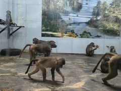 -西安秦岭野生动物园