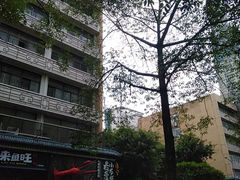 -龙巢盱眙龙虾·牛蛙·烧烤宵夜(八卦岭店)