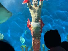 -海合安武汉极地海洋公园