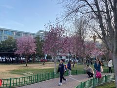 -经纬广场