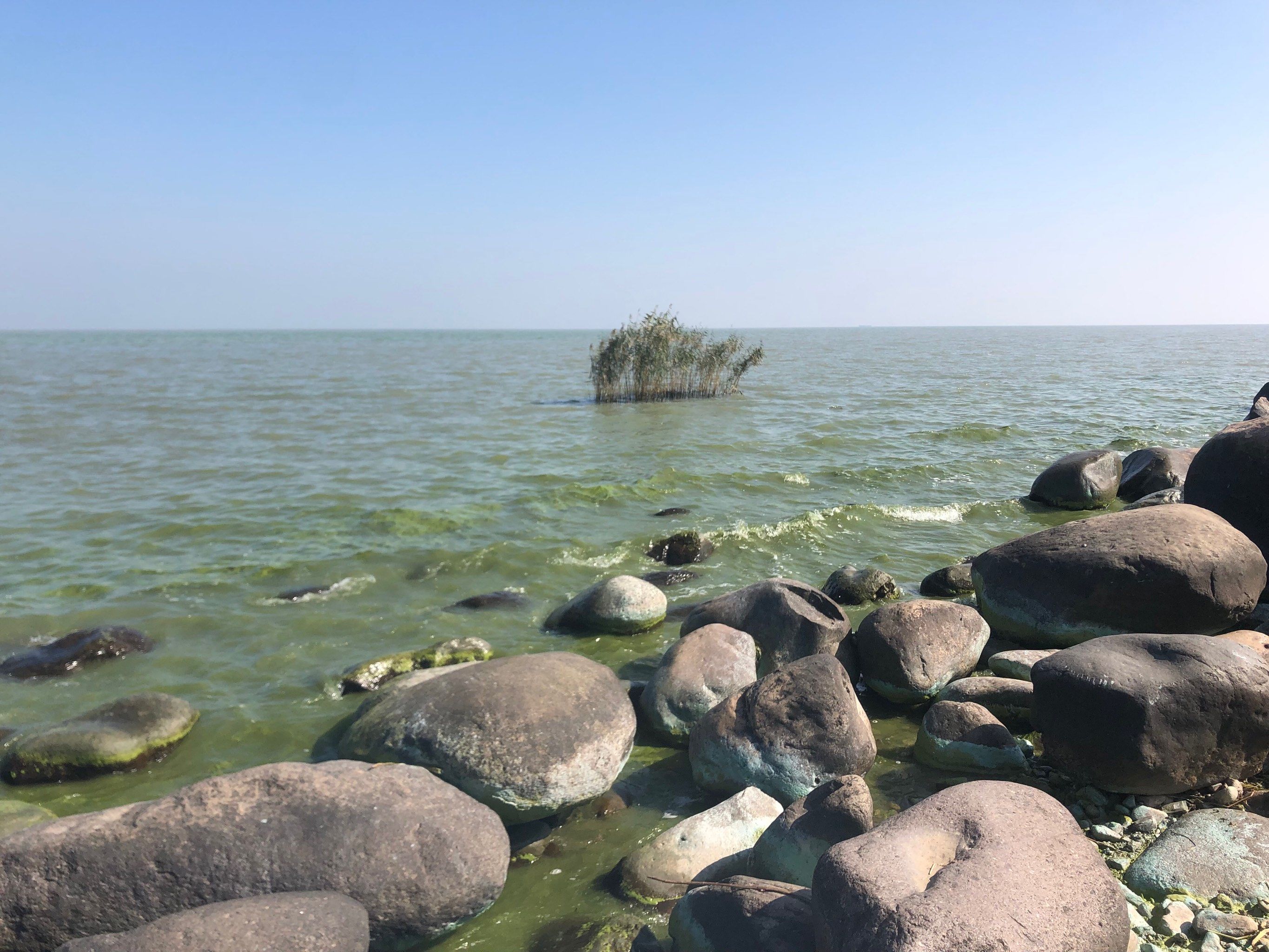 0元玩转这座城太湖观景台真的太棒了,风景非常不错,风吹的很舒服